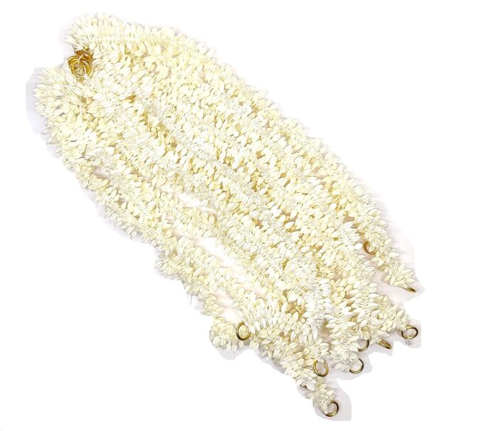 JAANSHU Gajra/Jasmine Garland Mala with Real Jasmine fragrance for women, used as hair accessories set of 12 with a surprised freebie - Image 1