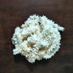JAANSHU Gajra/Jasmine Garland Mala with Real Jasmine fragrance for women, used as hair accessories set of 12 with a surprised freebie - Image 4