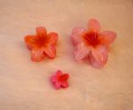 JAANSHU Flower Hair Claw Clips for Women & Girls, Strong Grip for Thin & Thick Hair, Durable Pack of 4 Tropical Accessories - Image 9