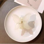 Jaanshu Butterfly Frosted Acrylic Hair Claw Clips - Trendy Hair Accessories for Women & Girls (Pack of 4) Multicolor - Image 4