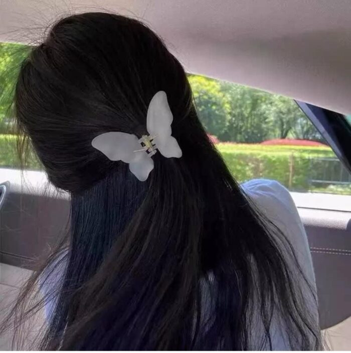 Jaanshu Butterfly Frosted Acrylic Hair Claw Clips - Trendy Hair Accessories for Women & Girls (Pack of 4) Multicolor - Image 5